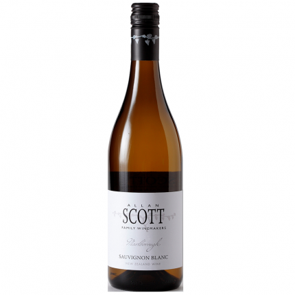 Sauvignon Blanc photo