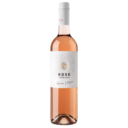 Zweigeltrebe Rose photo