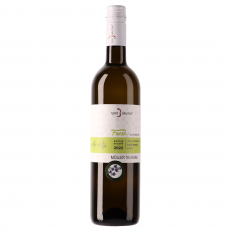 Müller Thurgau photo